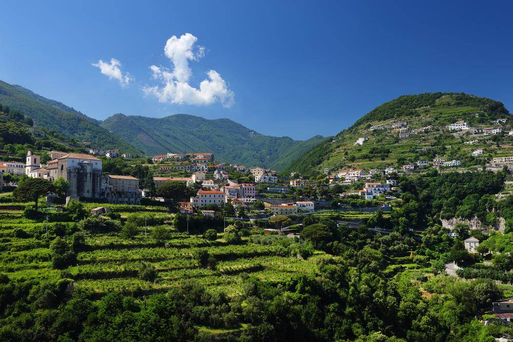 Vineyards among the hills in Ravello